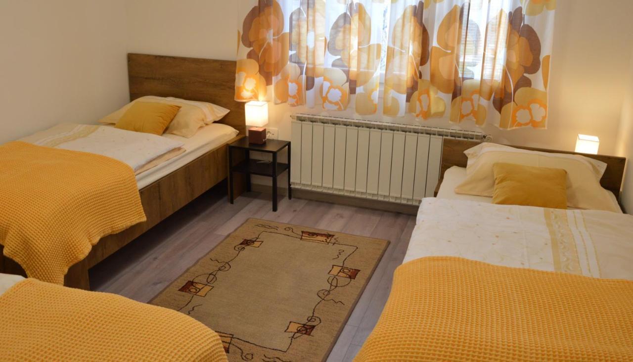 Apartma Vila Zigmund Cerknica Exterior photo
